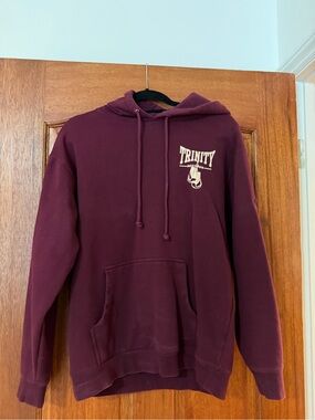 Trinity Men's Crewneck Hoodie in Maroon with Logo - Levi Bent-Lee brand
